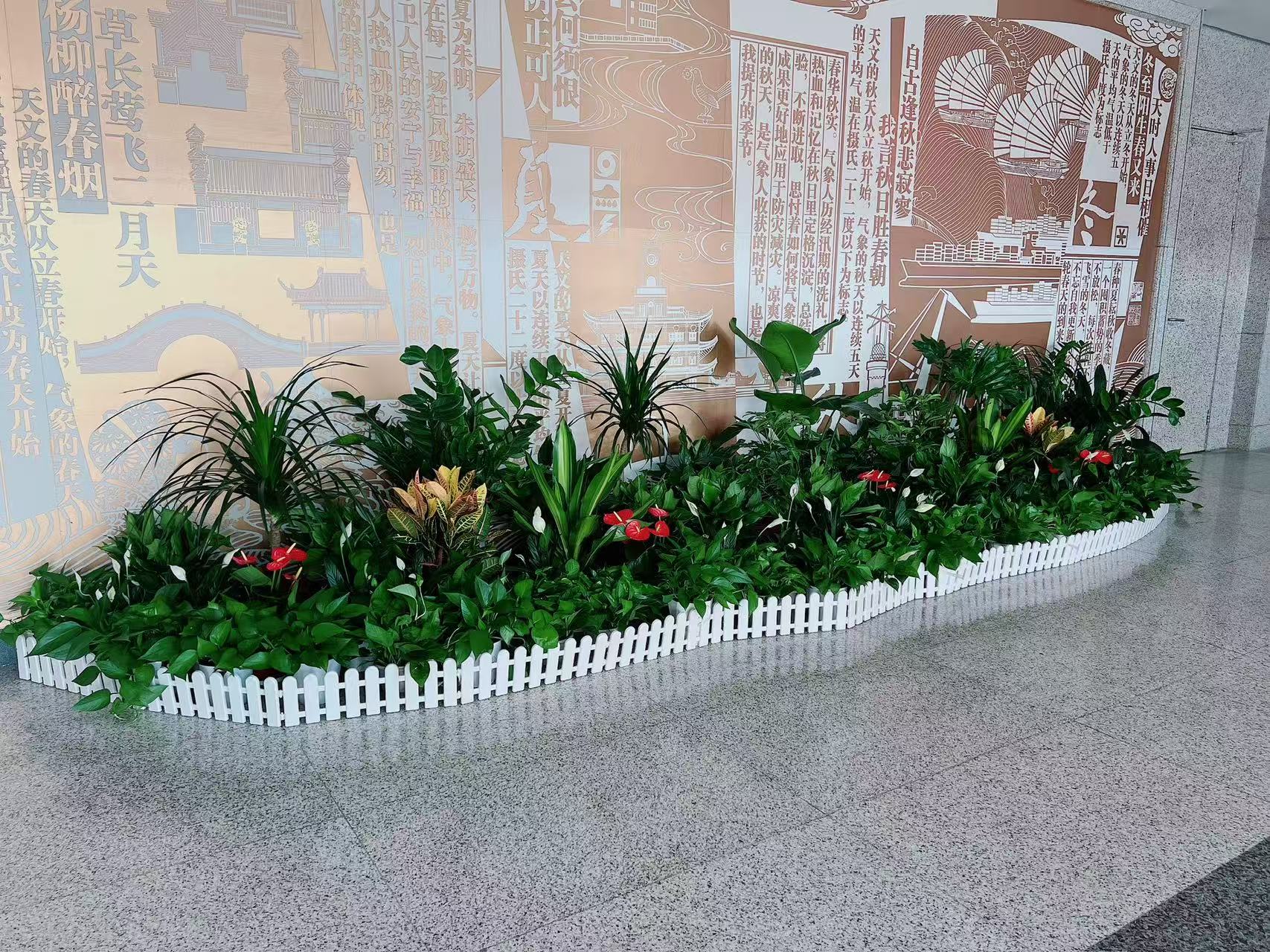 找杭州湾植物租赁哪家好？看这一篇就行！